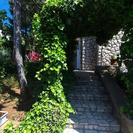 Stefi * Novi Vinodolski