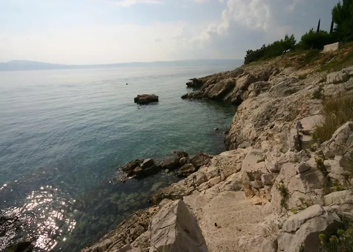 Stefi نوفي فينودولسكي