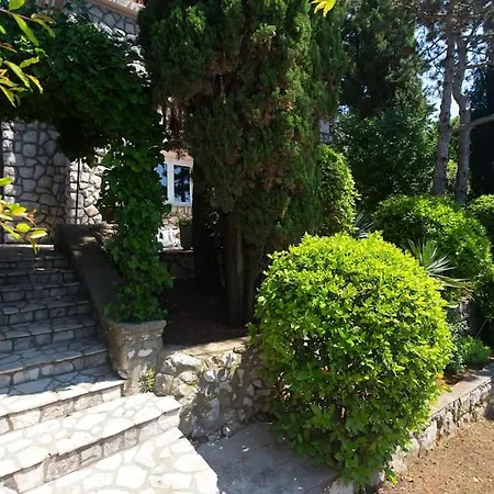 Stefi * Novi Vinodolski